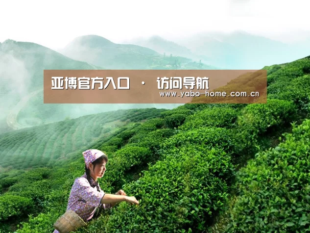 亚博官方入口 · 访问导航