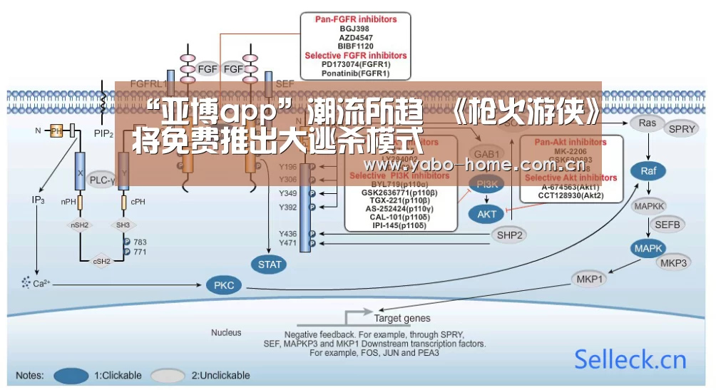 惊喜不断。亚博体育支持多种安全便捷的充值与提款方式