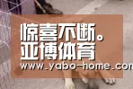惊喜不断。亚博体育支持多种安全便捷的充值与提款方式:2016广东高考本科第二批投档分数及投档人数(文)(图2) 惊喜不断。亚博体育支持多种安全便捷的充值与提款方式