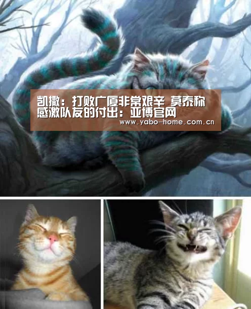 惊喜不断。亚博体育支持多种安全便捷的充值与提款方式